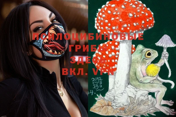 ECSTASY Абаза