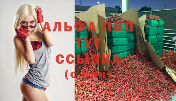 ECSTASY Абаза