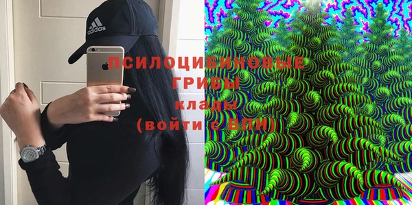 ECSTASY Абаза