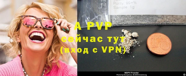 ECSTASY Абаза